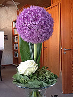 Allium%20Globemaster%20-%20als%20Schnittblume.JPG