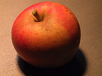 Apfel%20Alkmene%2001.JPG
