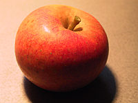 Apfel%20Alkmene%2002.JPG