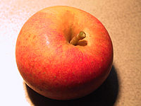 Apfel%20Alkmene%2003.JPG