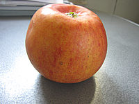 Apfel%20Alkmene%2004.JPG