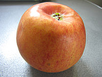 Apfel%20Alkmene%2005.JPG