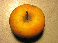 Apfel%20Goldparmaene%202.JPG