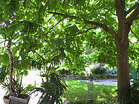 Catalpa%20bignonioides%20-%20Stimmung%201.JPG