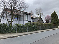 Hecke%20Kirschlorbeer%20Herbergii%20002.JPG