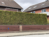 Hecke%20Thuja%20Smaragd%20003%20geschnitten.JPG