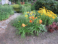 Hemerocallis%20am%20Teich.JPG